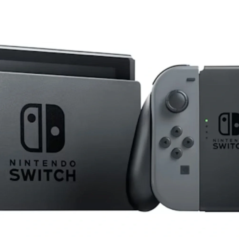 Nintendo enjoy portable